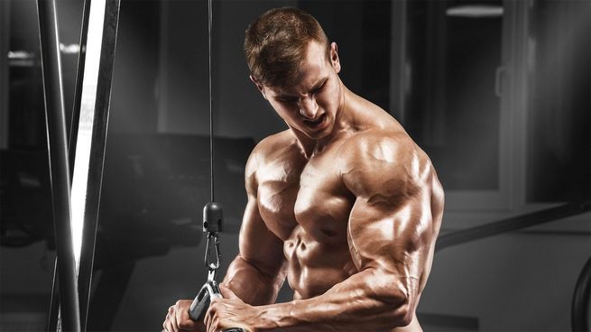 Anapolon (Oxymetholone) 50 mg Abdi Ibrahim: An Overview of Before and After Effects